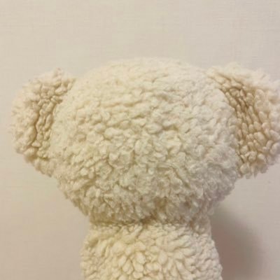 🇯🇵日本に生まれたことに感謝🇯🇵子ども達に美しい国のまま繋ぎたい🇯🇵國體護持🇯🇵日本保守党特別党員🇯🇵大切なものは戦ってでも守る