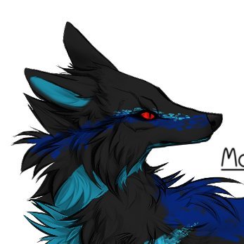 Shadowwolfheck's profile picture. Hello there