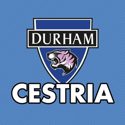 DurhamCestria Profile Picture