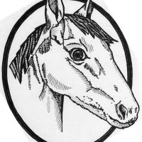 Cavalry Primary (@cavalry_primary) 's Twitter Profile