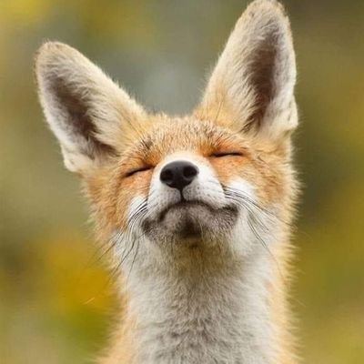 alina_voinea's profile picture. 25+ years of marketing problem solving with a BA in Communication and Public Relations, MA in Opinion Surveys, Marketing and Advertising.