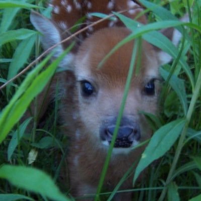 muttmurder's profile picture. kidnapped in the 20th century