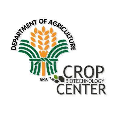 As part of the DA-Biotech Program, DA-CBC serves as the focal center for developing and utilizing modern biotechnologies for agriculture.