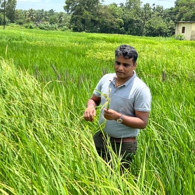 Asst. Prof. @ UAS Raichur, India....Rice diseases, pathogenomics, host plant resistance....