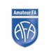 Amateur FA ⚽️ (@AmateurFA) Twitter profile photo