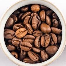 スペシャルティーコーヒー好き☕️日本中をコーヒー豆にしよう。色々なコーヒー屋を紹介して、みなさんをコーヒー豆にします。