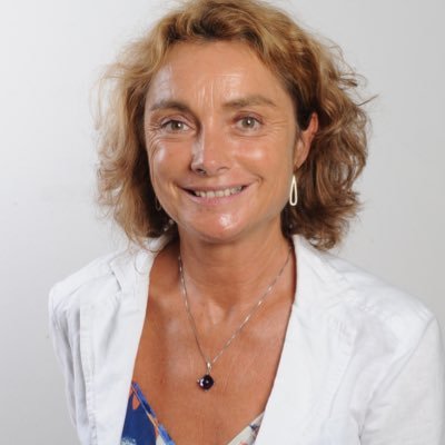 panpuillandre's profile picture. 