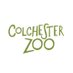 Colchester Zoo (@ColchesterZoo) Twitter profile photo