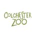 @ColchesterZoo