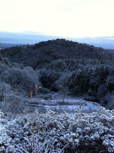 masaki456's profile picture. 