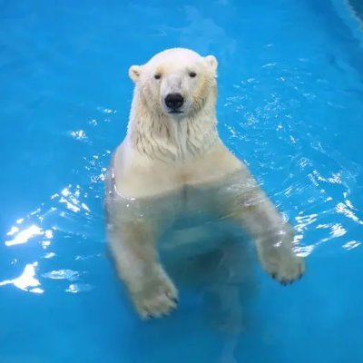 二度と帰らぬものは過ぎ去った歳月であろう。二度と会うことができないのは死んでしまった親であろう