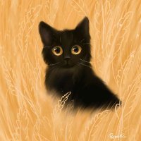 Minimo (@minimodigitall) 's Twitter Profile