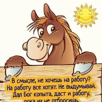 marmazetka007's profile picture. 