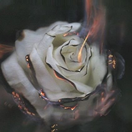 @poiuy_030