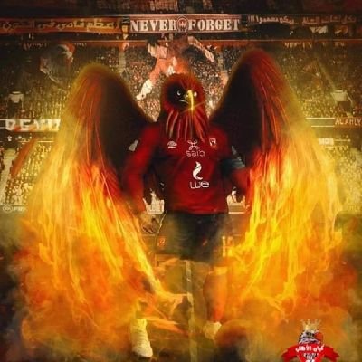 eslamasem952's profile picture. وما لنا الانتوكل علي الله وكفي بالله وكيلا 😍🥰