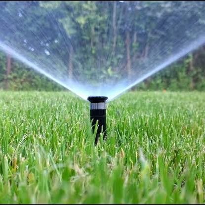 ShyguhSesom's profile picture. Student engineer(Agrics & Biosystems)
Lastborn.
Agriculture fanatic.
Humor and sarcasm 💉