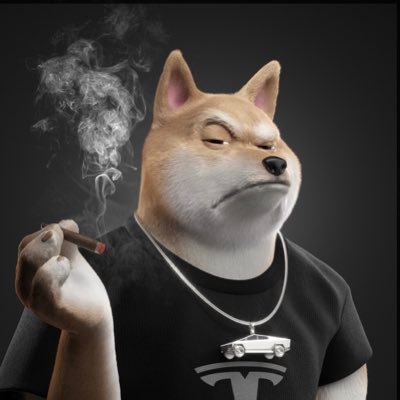 love $TSLA and $NVDA. #Bitcoin guy. Stay strong boys