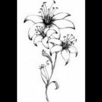 Stephanie Worrel (@stephanieworrel) 's Twitter Profile