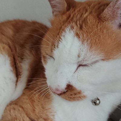 ミツヤスさんのプロフィール画像