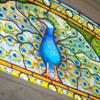 University of Reading Special Collections (@unirdg_speccoll) 's Twitter Profile