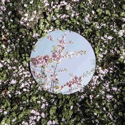 Ayene_MehrAeen's profile picture. آموزگار/عاشق بچه‌ها/دانش‌دوست/حیران⚘
راه راباپیمودنش می‌سازم...
موجیم و وصل مااز خود بریدن است🌊
ساحل بهانه ایست،
 رفتن؛ رسیدن است👣
 آیین آینه خود را ندیدن است