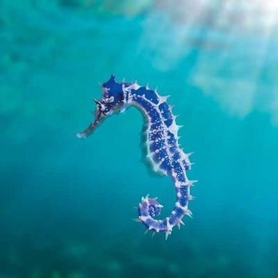 belfy6687's profile picture. 