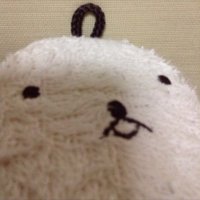 ₭ÅƵ📷🔪🐈🐝🇯🇵 (@rv_kaz) 's Twitter Profile