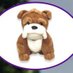 Grange Primary (@schoolnewsgps) Twitter profile photo Grange Primary (@schoolnewsgps) Twitter profile photo