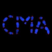 CMAzzalin Lab(@CMAzzalinLab) 's Twitter Profile Photo