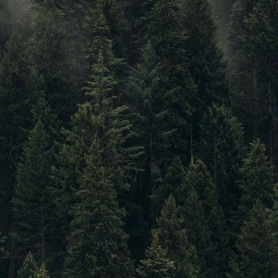 justwatchingn's profile picture. 