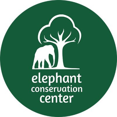 The Elephant Conservation Center is an Elephant Sanctuary and an Education, Conservation & Research Organisation established in Laos in 2010.