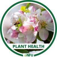 NFU Plant Health(@NFUPlantHealth) 's Twitter Profile Photo