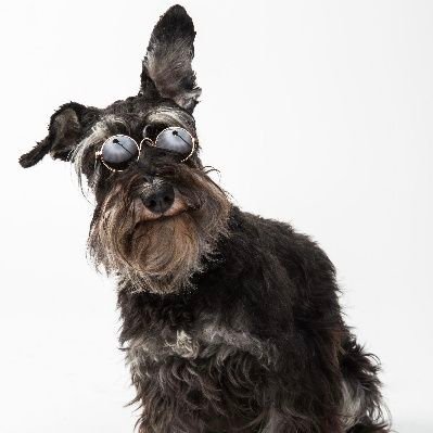 seiden99's profile picture. 千葉県民
無言フォロー失礼します