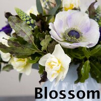 Blossom Florist (@blossomchorlton) 's Twitter Profile