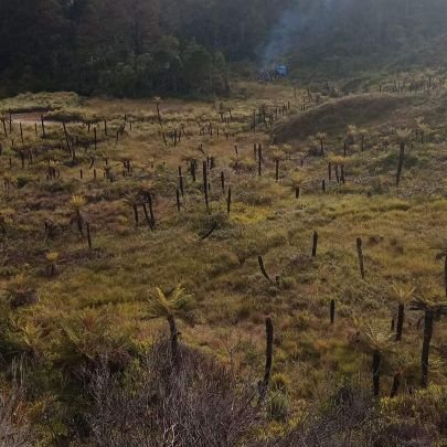 Kopiko64928367's profile picture. 