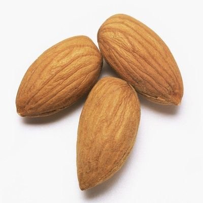 Almond_Boy2's profile picture. 🌰