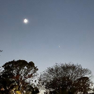 jocelyn54923144's profile picture. 