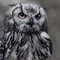 The Tweeting Owl 🦉🇪🇺💙😷💚(@LindaEnfield) 's Twitter Profile Photo