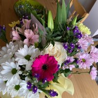 Sara Barry (@sara_barry) 's Twitter Profile