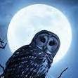 comradenightowl Profile Picture