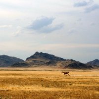 bubbyboy.eth (@gsid00543) 's Twitter Profile