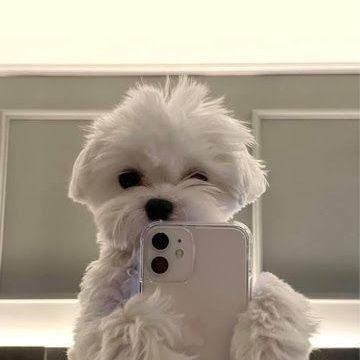 f9YDQFLs8c0fGsJ's profile picture. love myself