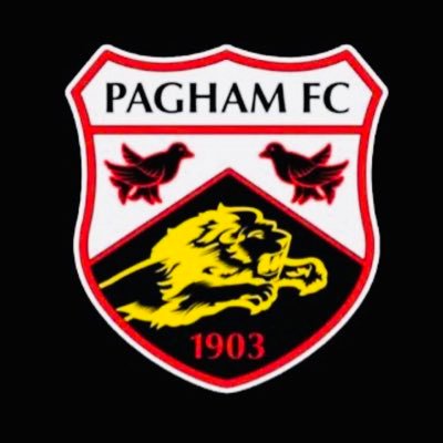 Pagham Football Club 🦁