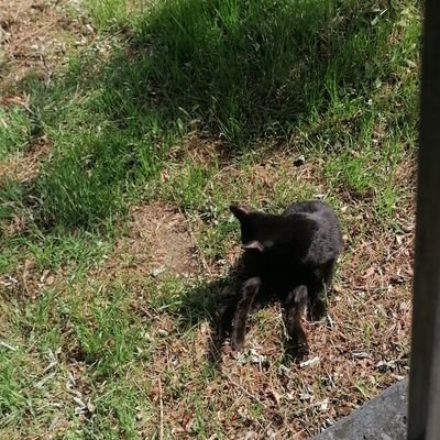ceさんのプロフィール画像
