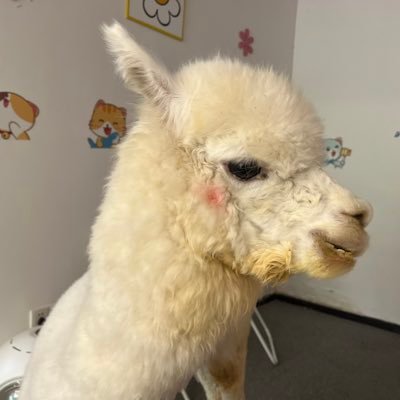 godofchn's profile picture. 