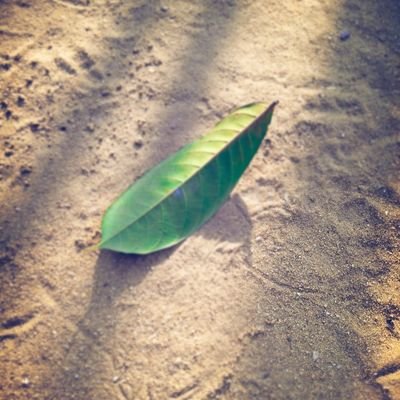 sarkasticmonk's profile picture. Here to observe. Not to argue.
