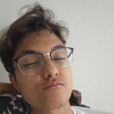 a galinha do salgadinho