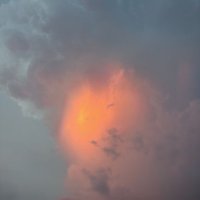 ManD (@upbymyself) 's Twitter Profile