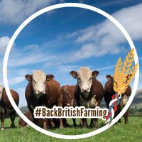 NFU Herefordshire(@NFUHfds) 's Twitter Profile Photo