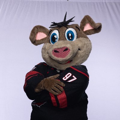 NHLStormy Profile Picture